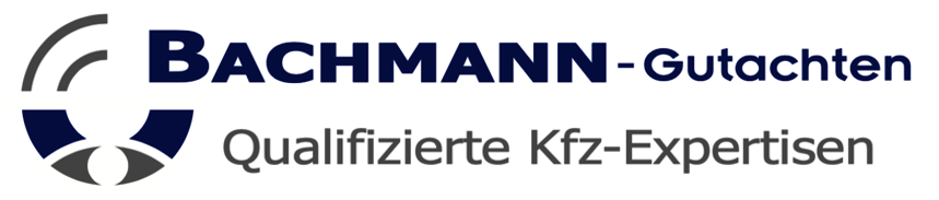 Bachmann-Gutachten
Andreas Bachmann